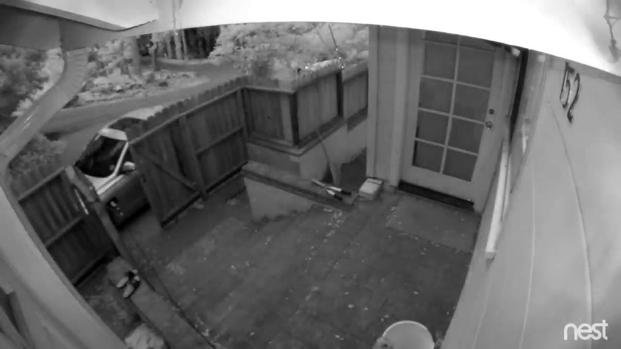 Timelapse from Nest Cam Outdoor showing 