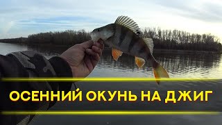 Окунь на микроджиг осенью. Ультралайт.