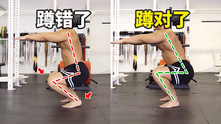 普通人如何学会一个标准的深蹲？【卓叔增重】 - 天天要闻