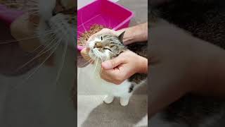 Dervla cheek rubs