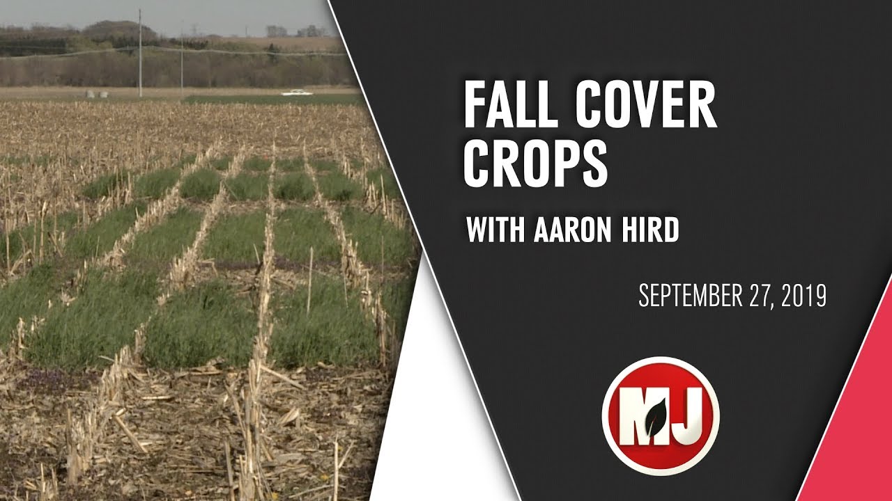 Fall Cover Crops | Aaron Hird | September 27, 2019 - YouTube