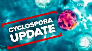 Cyclospora cases rise in Greater Cincinnati; here's what experts are warning