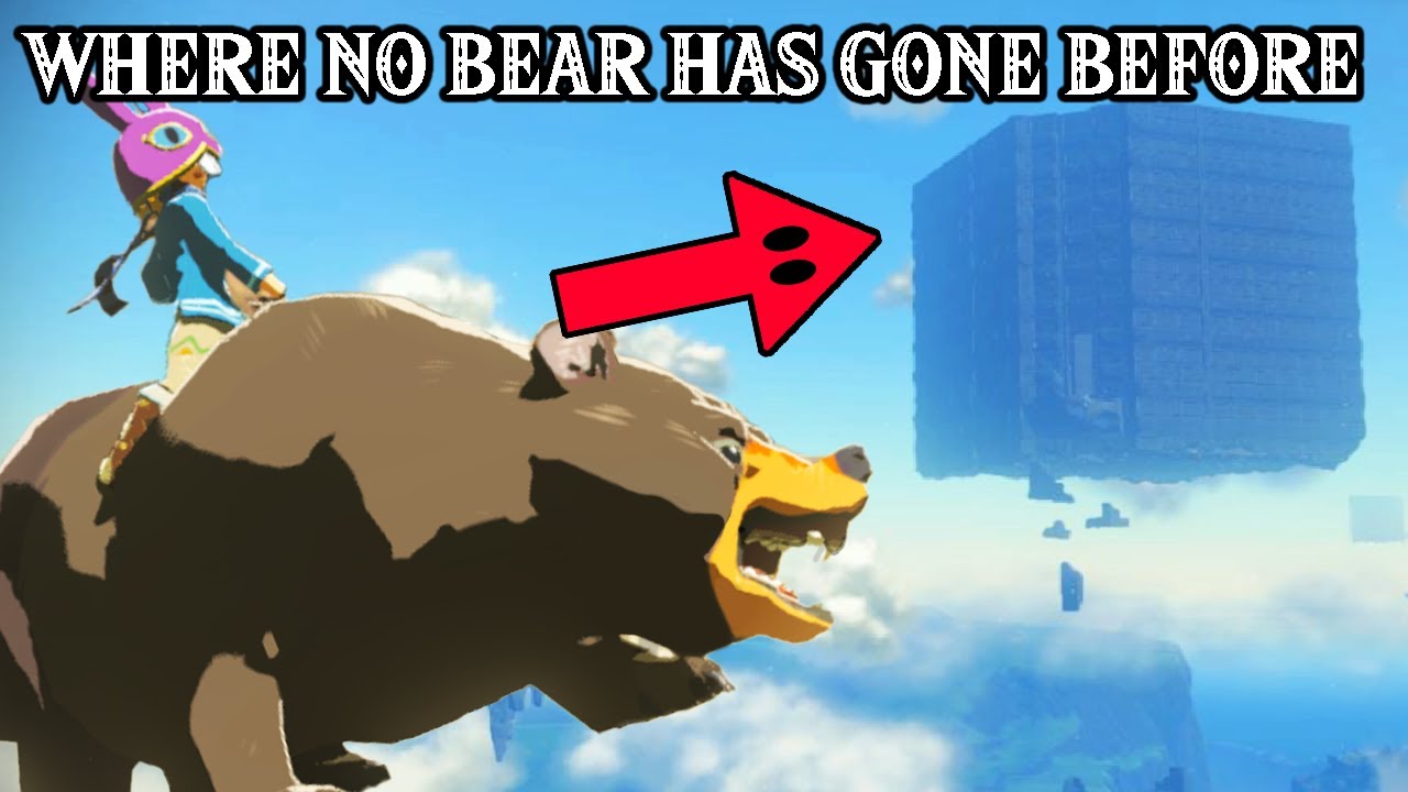 I took a BEAR THROUGH A SKY LABYRINTH - Tears of the Kingdom