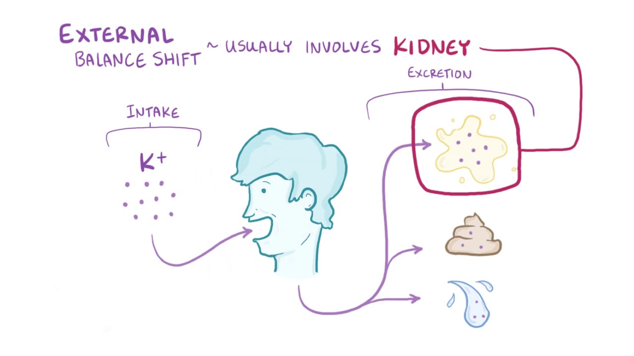 Hyperkalemia causes, symptoms, diagnosis, treatment, pathology YouTube