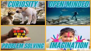 Teaching Maths and Numeracy Through Computing Science at BGE