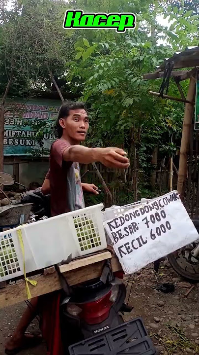Pelan-pelan aja mbak #madurakocak #funny #comedy #comedymadura #lucu #fyp