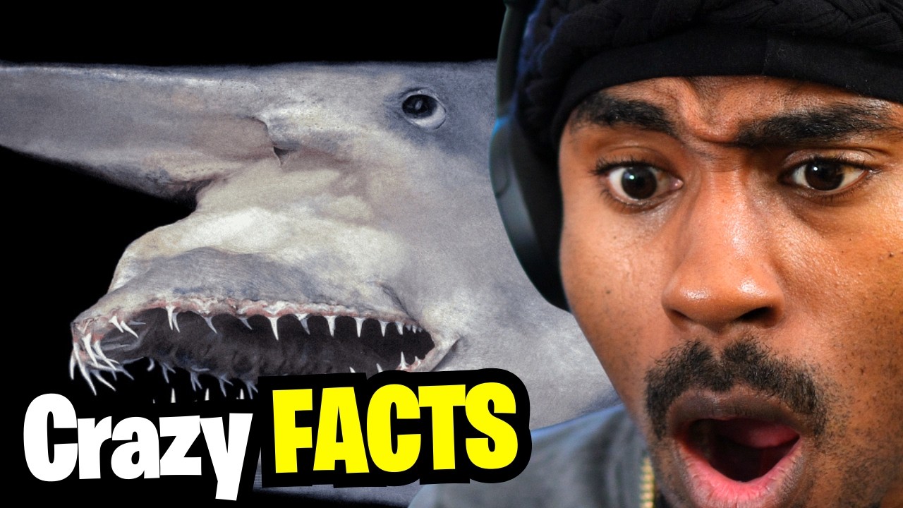 Выясним, какую часть океана мы на самом деле исследовали.