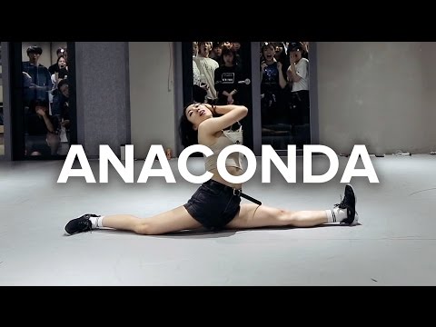 Video: Leej twg choreographed anaconda music video?