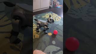 My Aibo Jumpy in Action