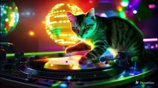 DJ REMIX NDAS GERIH || HOUSE MUSIK FULL BASS