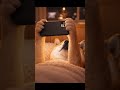 【共感1000%】誰もが一度は経験する絶望の瞬間…📱💥 #shorts