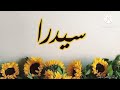 شعر وغزل اسم سيدرا الشاعر مصطفى شاهين