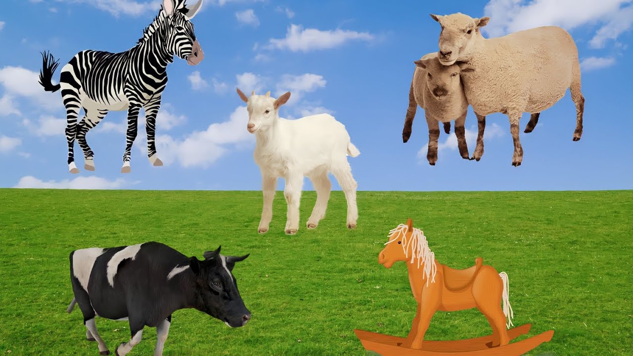 how do herbivores sound?! find out by watching this video YouTube