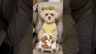 바나나: 줄 거면 빨리 줘