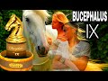 BUCEPHALUS IX 🐴ARMAF [1 PERFUME MUY TOP]