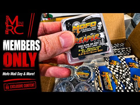 MO - Mofo Mail Day and More!