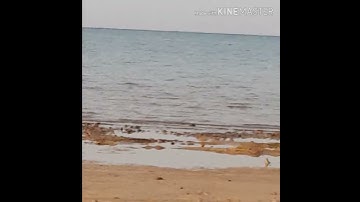 Surah alfatiha سورة الفاتحة بصوت مؤثر و شجي