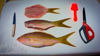 Butterflied Yellowtail Snapper! Beautiful Piece of Fish!!!