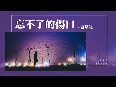 蘇星婕 - 忘不了的傷口『今晚的月色很濃 我依然不快樂』【Lyrics Video】