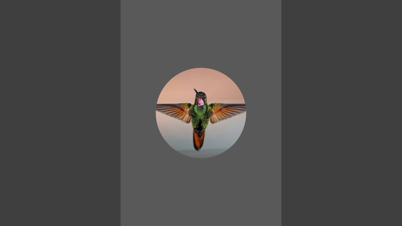 What is Inzunza continued.. Part 3 2025 ✨🐉🕯️