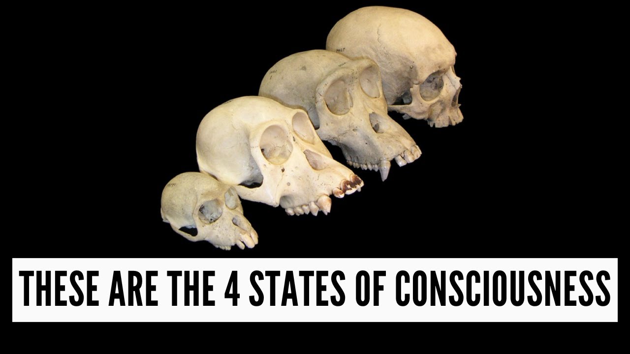 The Four States of Consciousness in Vedanta (Wisdom from the Mandukya Upanishad)