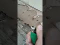 Скинув зажигалку з 10 того поверху
