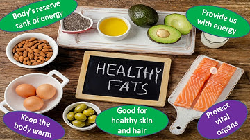 Class 4 Science Ch 5 Part 1(Food-Our Basic Needs)