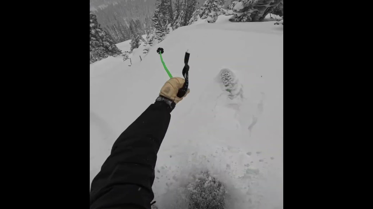Skiing untracked trees on Whistler Blackcomb #whistlerskiresort #skiing #ski #whistlerblackcomb