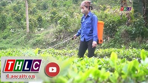 Tăng cường kiểm soát và hướng dẫn sử dụng thuốc bảo vệ thực vật | THLC
