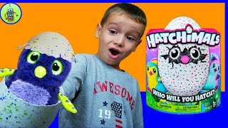 Nuevos juguetes HATCHIMALS 🐧 como funciona un Hatchimals