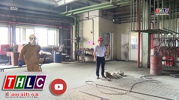 Tăng cường đảm bảo an toàn, vệ sinh lao động | THLC