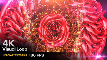 4K VISUAL LOOP ANIMATION RESOLUME (VJ LOOP) - 3D TUNNEL LUXURY