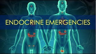 Endocrine Emergencies - Diabetes screenshot 1
