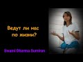Ведут ли нас по жизни? / Are we being guided through life?