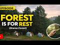 Forest is for rest (Sharan Forest) #travel #forest #sharanforest