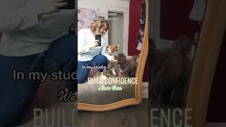 Empowering photography: capturing confidence #confident #confidentwoman