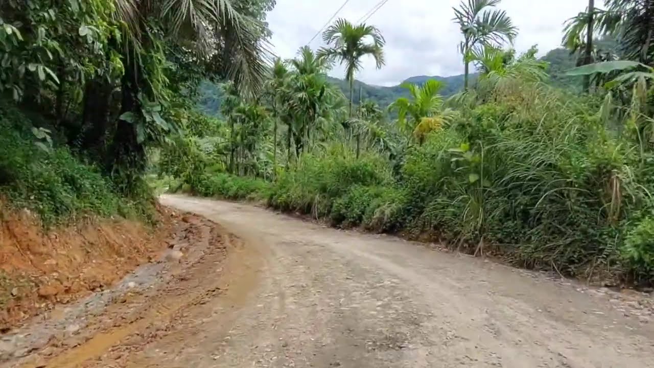 Jalan dari Desa Penen Tembus Bandar baru