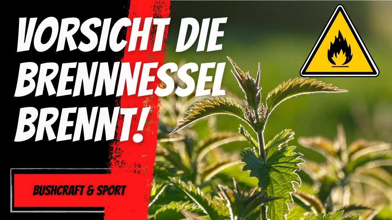 Survival Pflanze Brennnessel - Idealer Zunder und Notnahrung | Bushcraft & Sport 