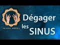 Mditation guide  mudra qui dgage les sinus soulage le rhume sinusite et la congestion nasale