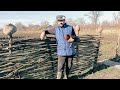 VILLAGE GUY | Makes a fence do it yourself #villageguy #makesafence #doityourself