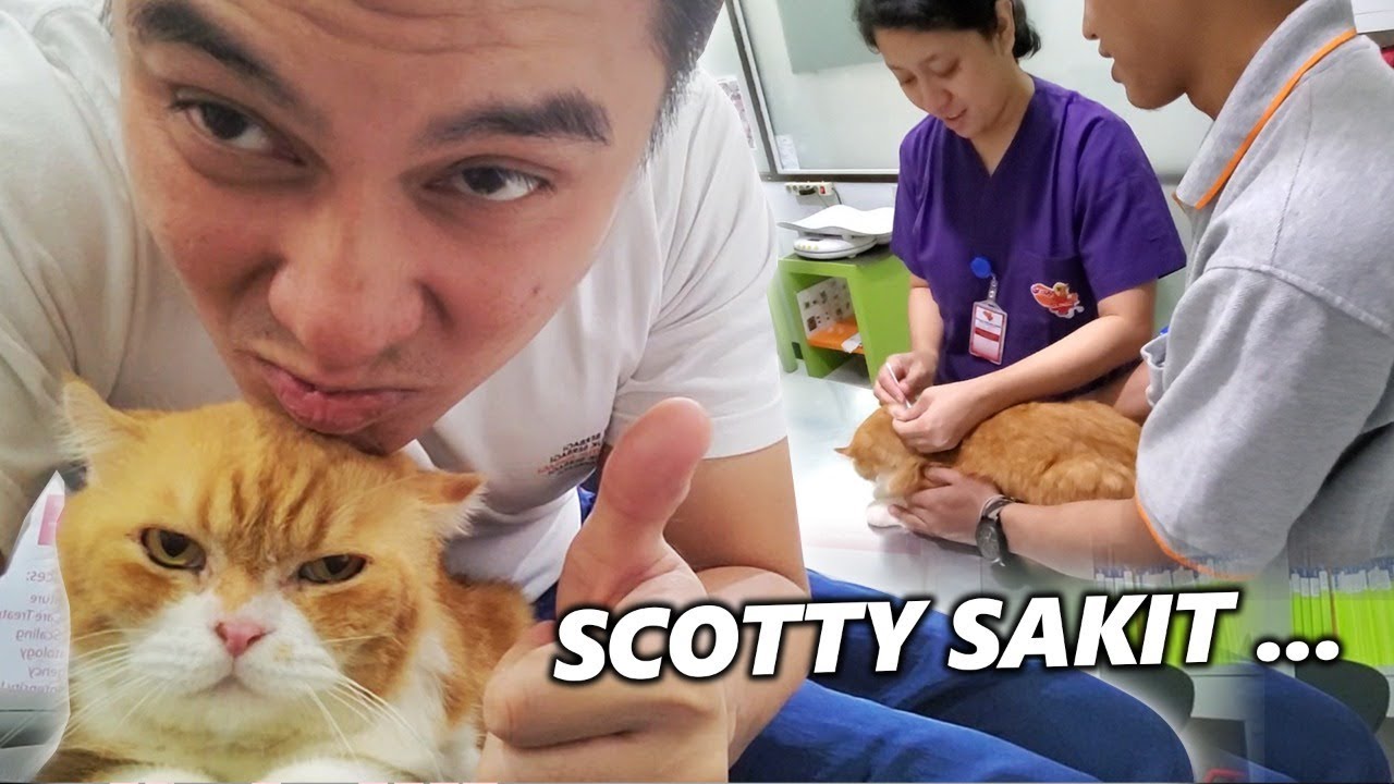 SCOTTY UDAH 10 TAHUN .. PAS SAKIT ,GA TEGA LIATNYA .. LANGSUNG BAWA KE DOKTER !