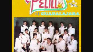 BANDA PELILLOS-GUADALAJARA........