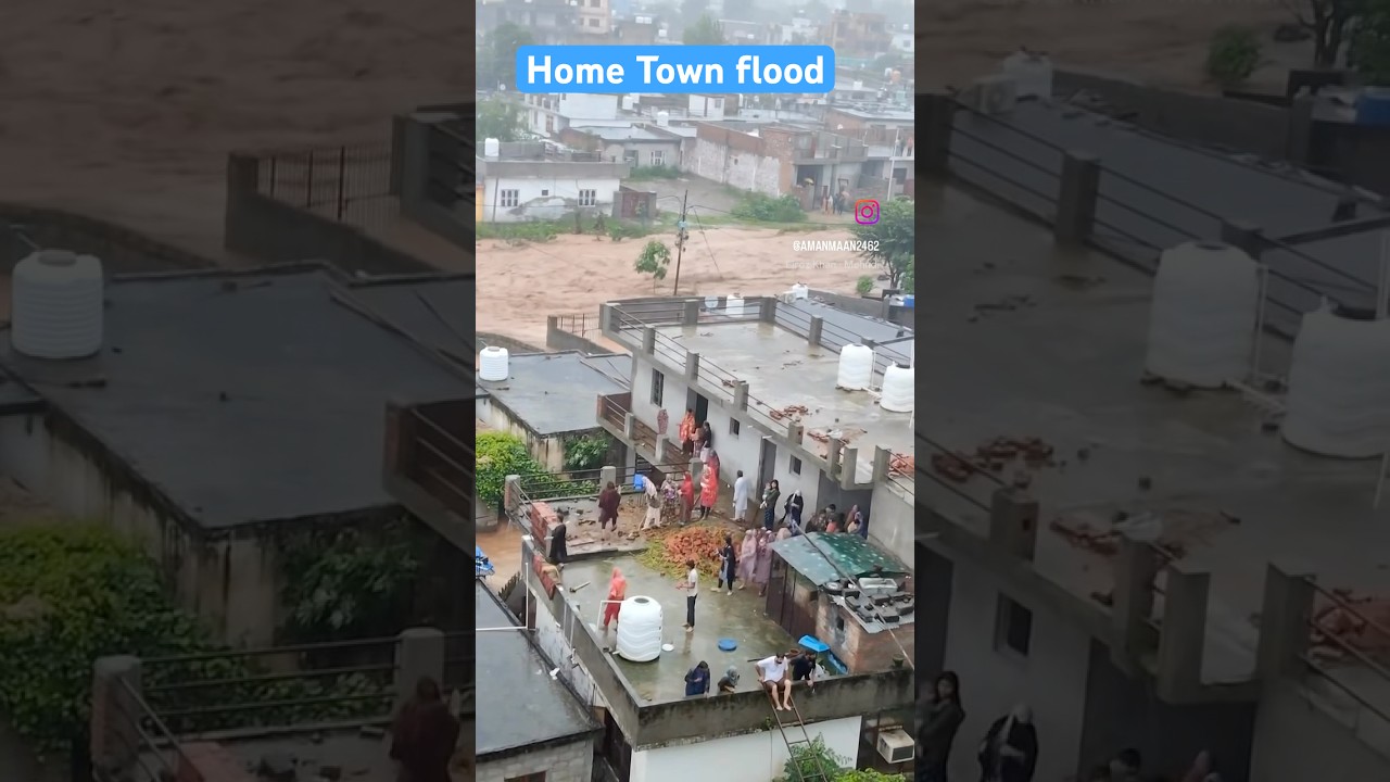 SpiderMan Vs Venom Kianalbandi214437 Fyp Youtube  - YouTube Auto PHP Script