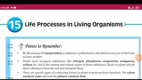 Answers!!! Life Processes in Living Organism chapter 15 Science class 9 SSC digest question answer