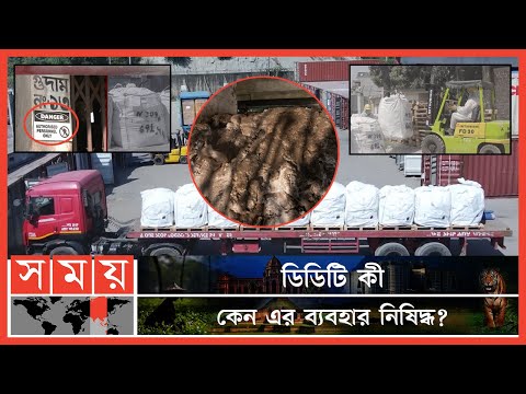 ভিডিও: সারের গর্ত কি বিপজ্জনক?