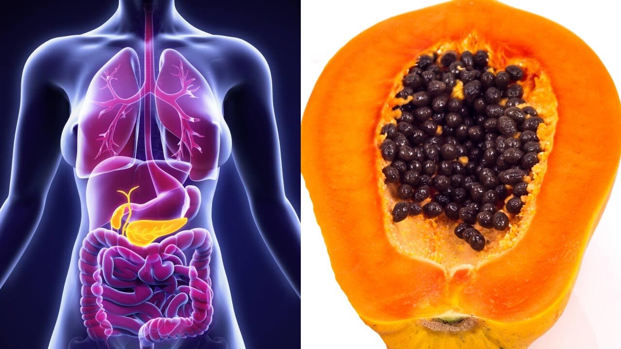 Beneficios de la Papaya Para que es Buena la Papaya YouTube