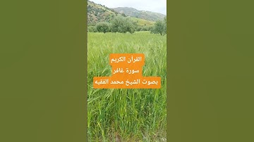 القرآن الكريم #المصحف سورة غافر بصوت الشيخ محمد الفقيه
