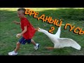 Вредный гусь 2 - Untitled goose game