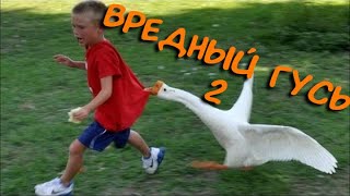 Вредный Гусь 2 - Untitled Goose Game