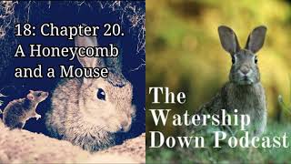 18: Chapter 20. A Honeycomb and a Mouse